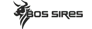BOS SIRES