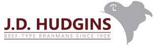 J D HUDGINS