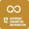 Responsible Consumption and Production