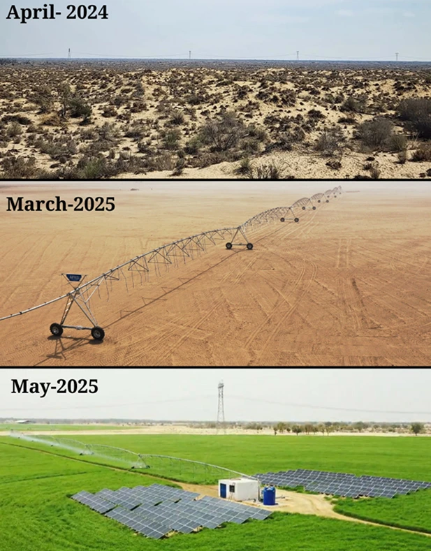 A New Era of Desert Farming