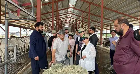 Chinese Delegation at DayZee (Private) Limited