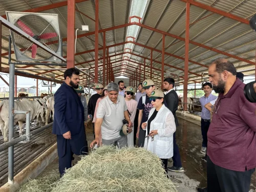 Chinese Delegation at DayZee